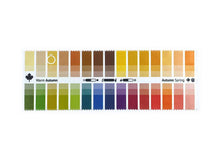 Lade das Bild in den Galerie-Viewer, Stoff Farbpass