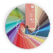 Lade das Bild in den Galerie-Viewer, Fächer Farbpass