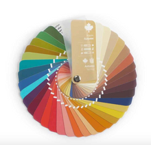Lade das Bild in den Galerie-Viewer, Fächer Farbpass