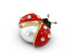 Lade das Bild in den Galerie-Viewer, Broschen