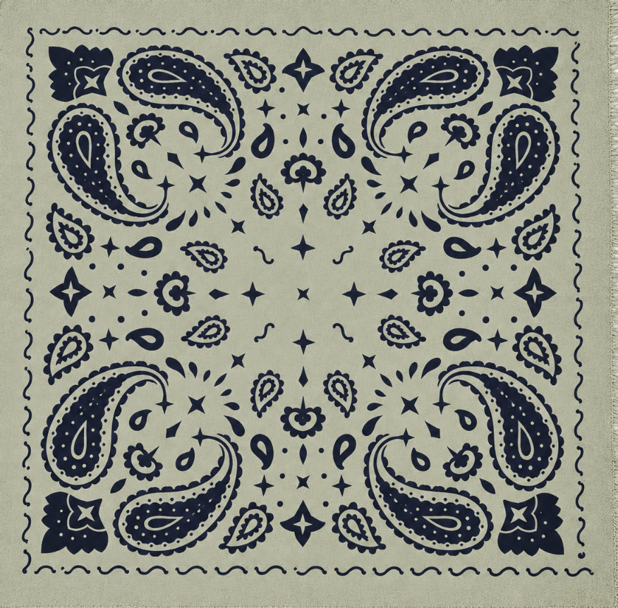 CODELLO Cashmere Paisley Schal
