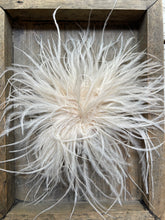 Lade das Bild in den Galerie-Viewer, Brosche Filou