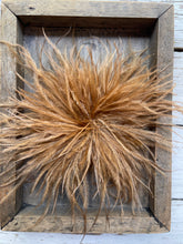 Lade das Bild in den Galerie-Viewer, Brosche Filou