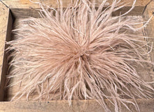 Lade das Bild in den Galerie-Viewer, Brosche Filou
