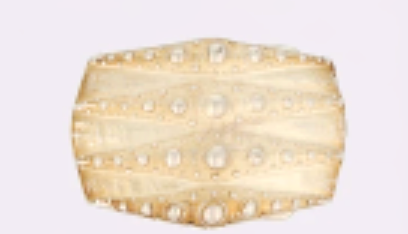 Gürtelschließe Nieten - 4cm