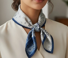 Lade das Bild in den Galerie-Viewer, Seidentuch Elegant
