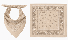Lade das Bild in den Galerie-Viewer, Bandana Paisley
