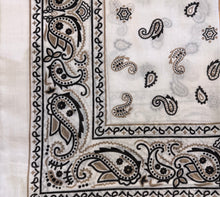 Lade das Bild in den Galerie-Viewer, Bandana Paisley
