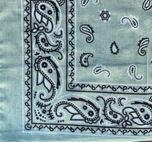 Lade das Bild in den Galerie-Viewer, Bandana Paisley
