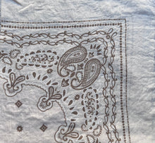 Lade das Bild in den Galerie-Viewer, Bandana Paisley
