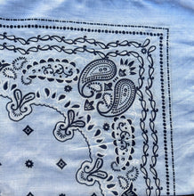 Lade das Bild in den Galerie-Viewer, Bandana Paisley
