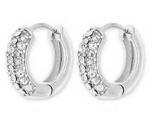 Lade das Bild in den Galerie-Viewer, Silberne kleine Creolen mit Strass Wunderwerk Oldenburg
